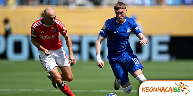 Chelsea vs Benfica2 Tương Quan Lực Lượng & Chiến Thuật