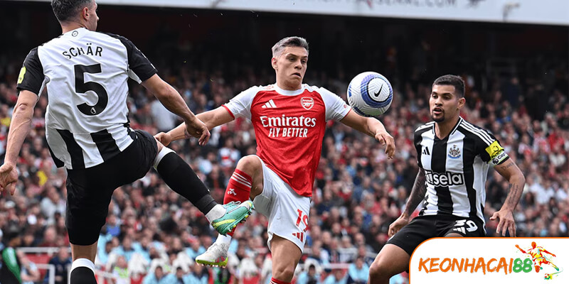 new castle vs arsenal2 Thông tin cầu thủ Newcastle vs Arsenal mới nhất